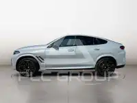 2023 BMW X6