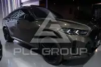 2023 BMW X6