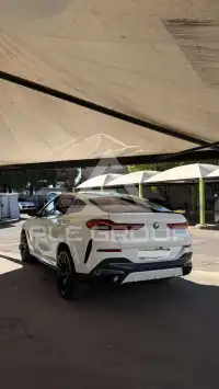 2023 BMW X6