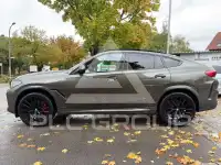2023 BMW X6