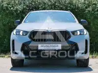 2023 BMW X6