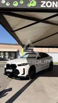 2023 BMW X6