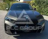 2023 BMW X6