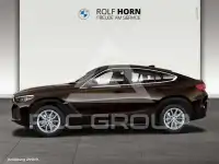 2023 BMW X6