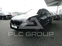 2023 BMW X6