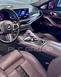 2023 BMW X6