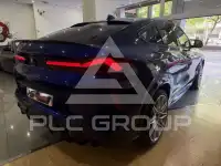 2023 BMW X6
