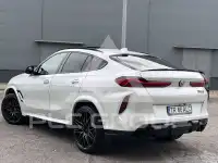 2023 BMW X6