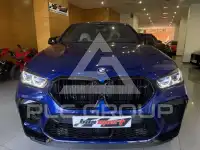 2023 BMW X6