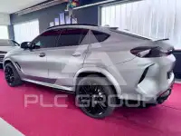 2023 BMW X6