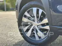 2023 Suzuki 