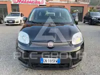 2023 Fiat Panda