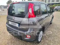 2023 Fiat Panda
