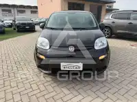 2023 Fiat Panda