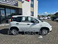 2023 Fiat Panda