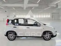 2023 Fiat Panda