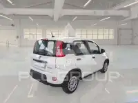 2023 Fiat Panda