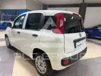 2023 Fiat Panda