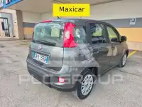 2023 Fiat Panda