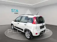 2023 Fiat Panda