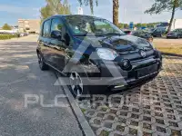 2023 Fiat Panda