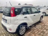 2023 Fiat Panda