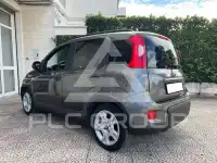 2023 Fiat Panda