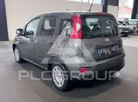 2023 Fiat Panda