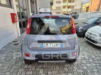 2023 Fiat Panda