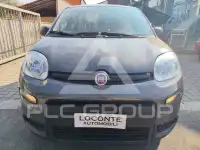 2023 Fiat Panda
