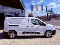 2023 Fiat Doblo