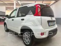 2023 Fiat Panda