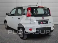 2023 Fiat Panda