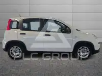 2023 Fiat Panda