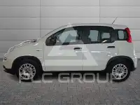 2023 Fiat Panda