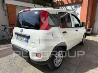 2023 Fiat Panda