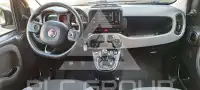 2023 Fiat Panda
