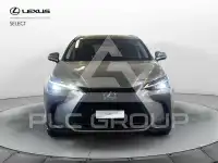 2023 Lexus NX450