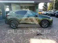 2023 Lexus NX300