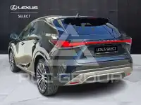 2023 Lexus RX350