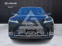 2023 Lexus RX350