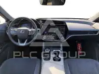 2023 Lexus RZ