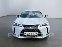 2023 Lexus UX250