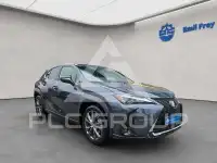 2023 Lexus UX250