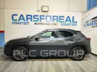 2023 Lexus UX250