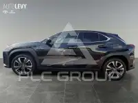 2023 Lexus UX250