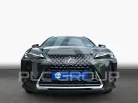 2023 Lexus UX250