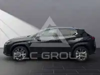 2023 Lexus UX250