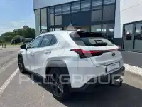 2023 Lexus UX250