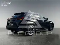 2023 Lexus UX250
